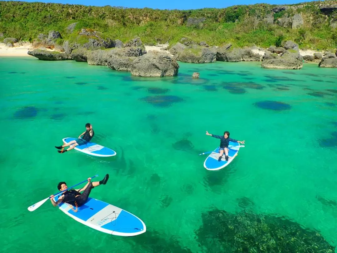 Superb View Beach SUP/Canoe and Tropical Snorkeling Experience