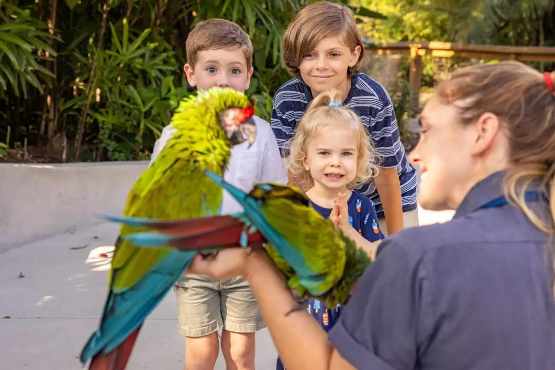 ロウリーパーク動物園・フロリダ水族館 セットチケット（タンパ）