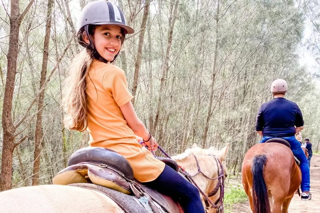 Private Horseback Bushland Trail Ride in Hunter Valley