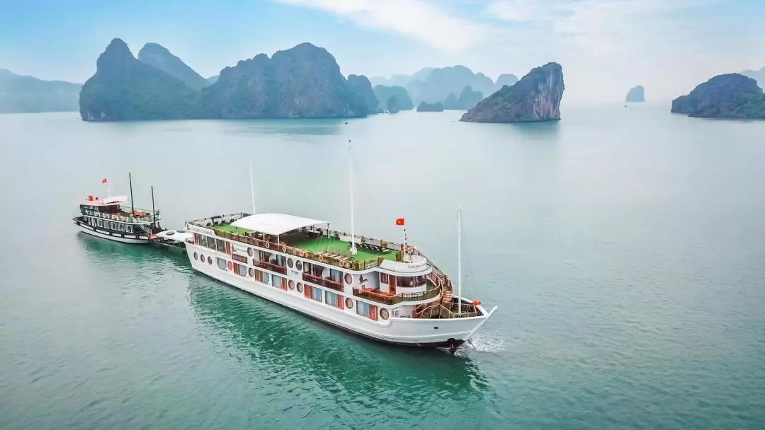 [New Route] 2D1N Halong and Lan Ha Bay by Calypso Cruise