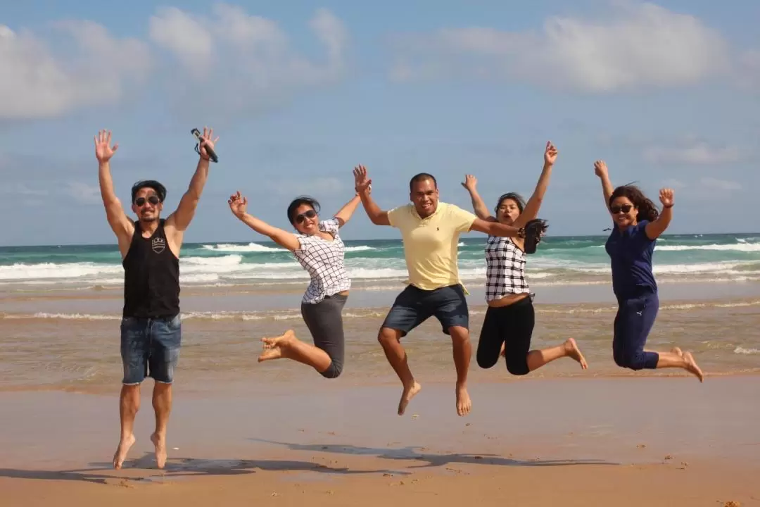 Port Stephens Beach Tour and Sandboarding Experience	