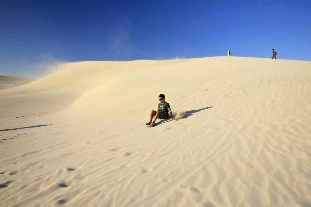 Pinnacle Desert Explorer with Lancelin Sandboarding in Perth