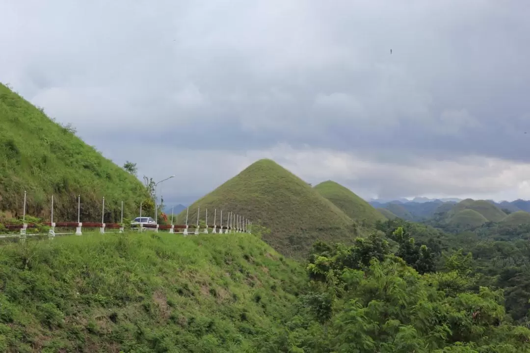 Bohol Day Tour from Cebu