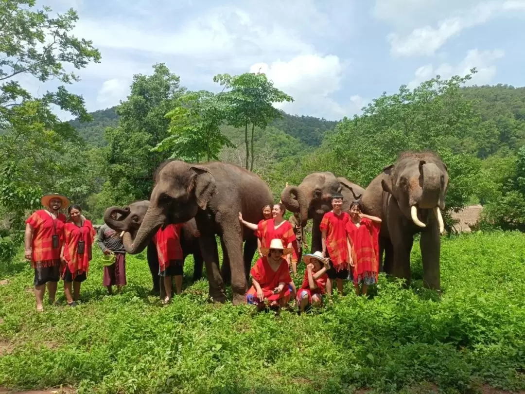 Elephant Day Care at Chiang Mai Mountain Sanctuary