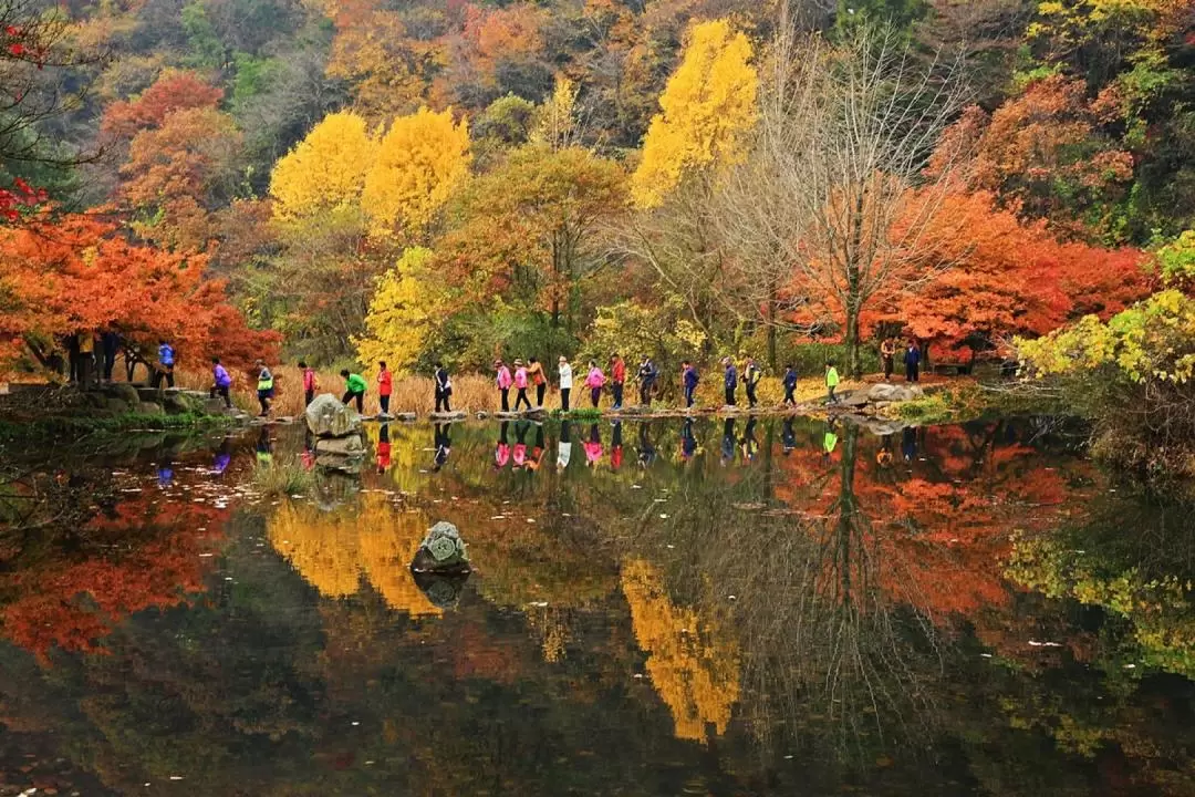 秋季雪嶽山 / 內藏山賞楓之旅