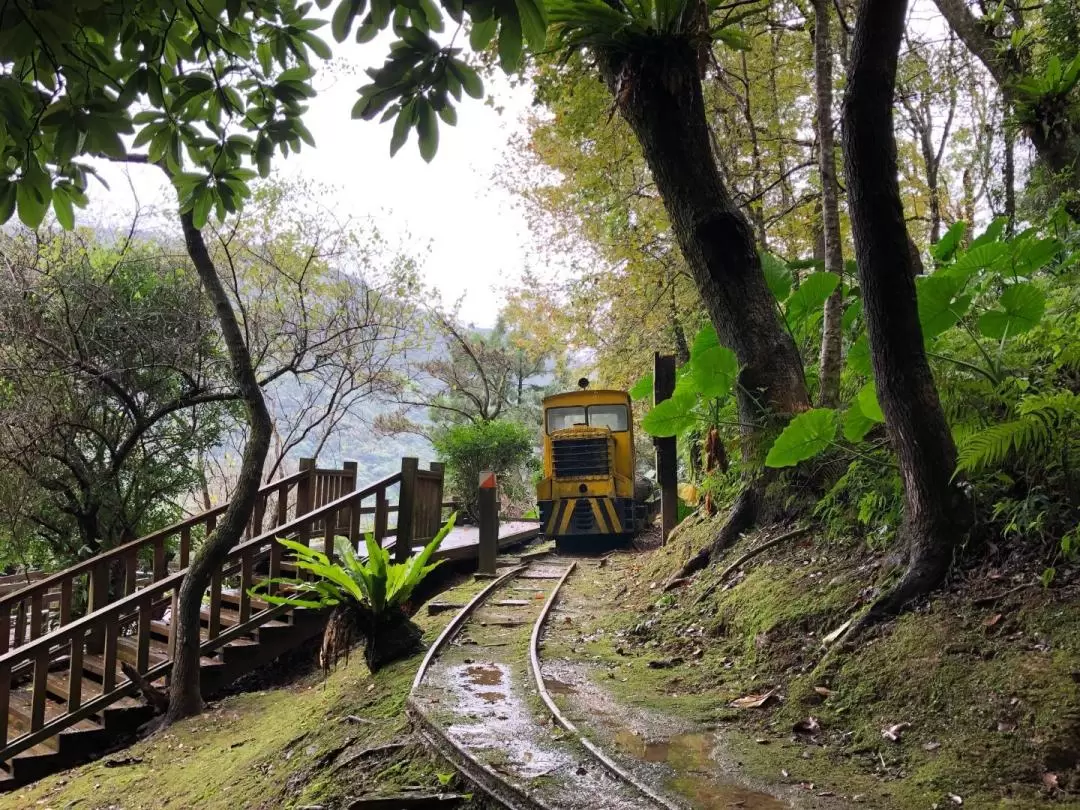 池南國家森林遊樂區門票