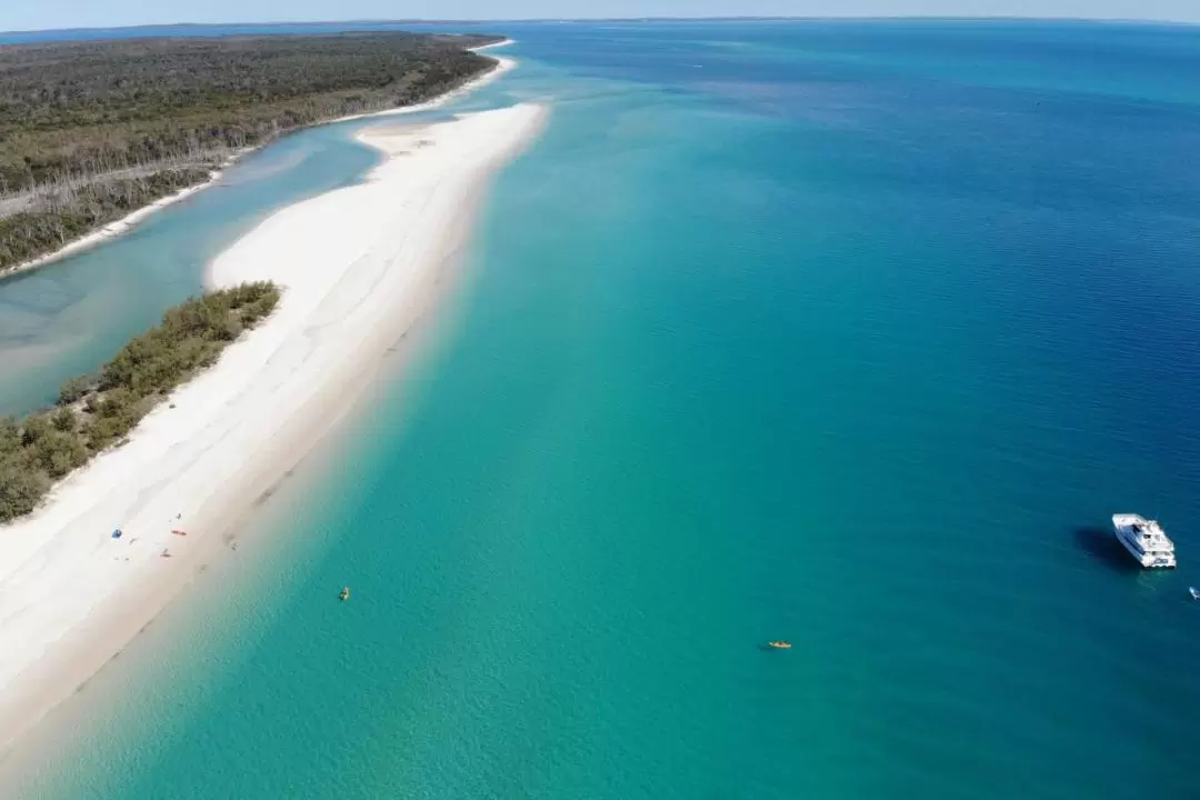 Whalesong Fraser Island Beach and BBQ Cruise from Sunshine Coast