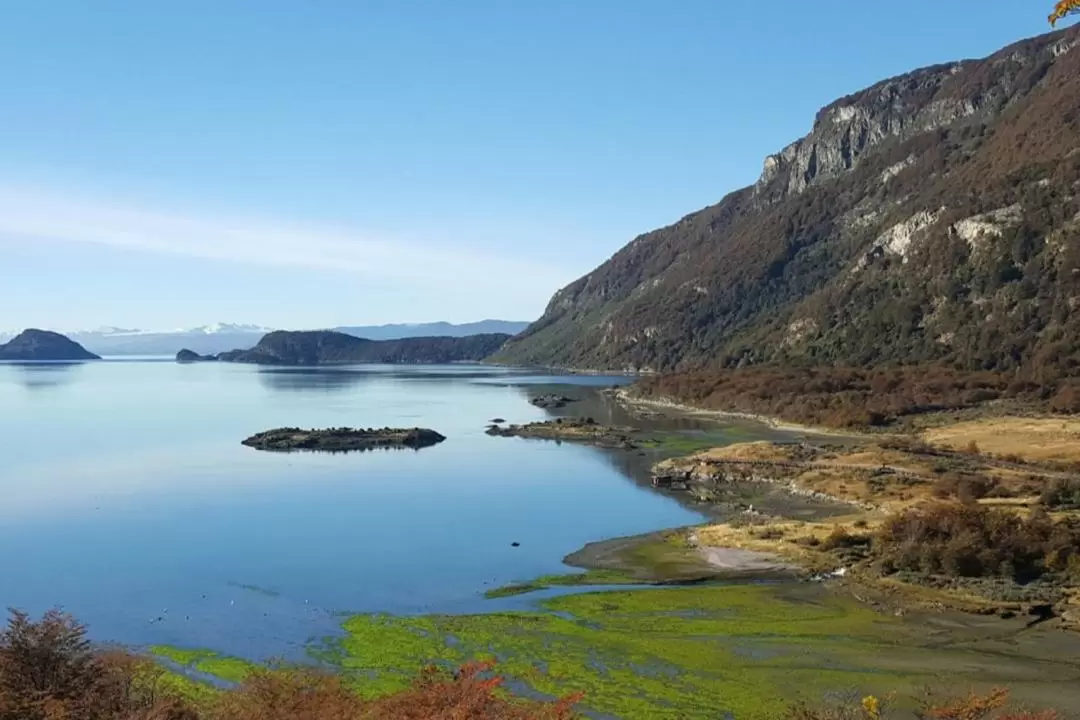 Ushuaia Tierra del Fuego National Park and End of the World Train Tour