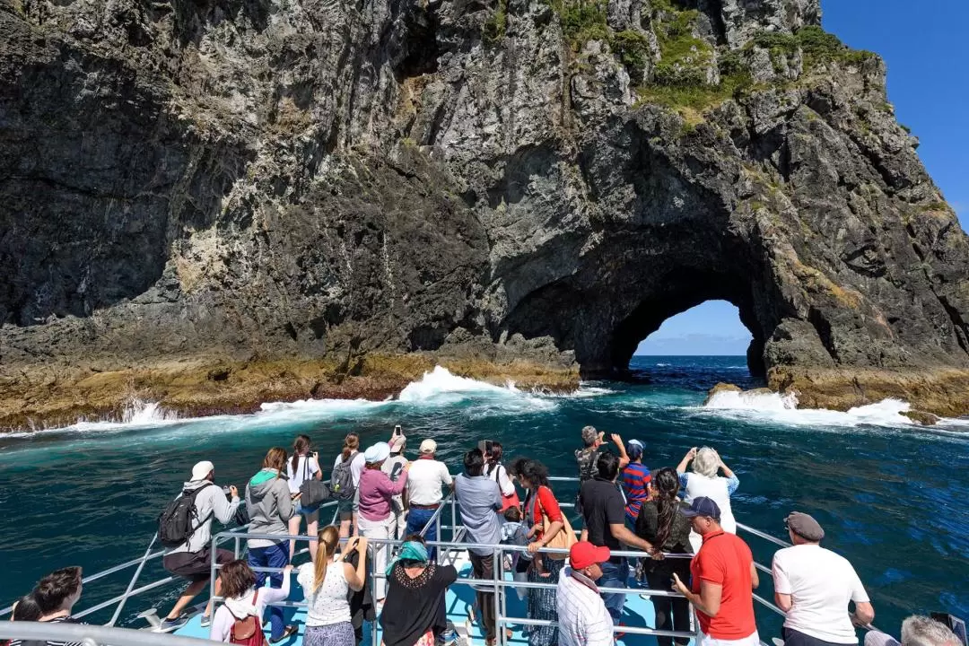 Cream Trip Super Cruise and Otehei Bay Tour from Bay of Islands