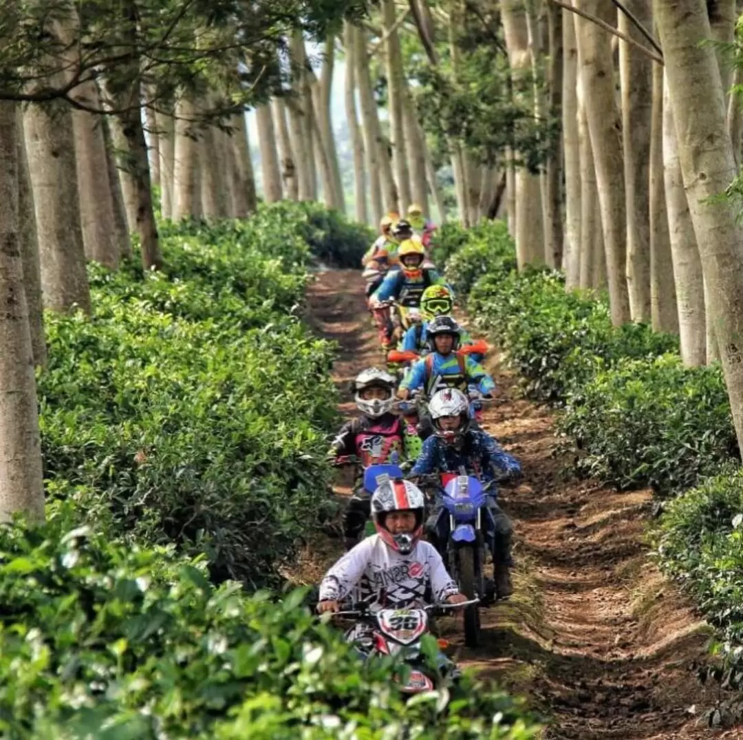 Adventure Trail Trip to Wonosari Tea Plantation