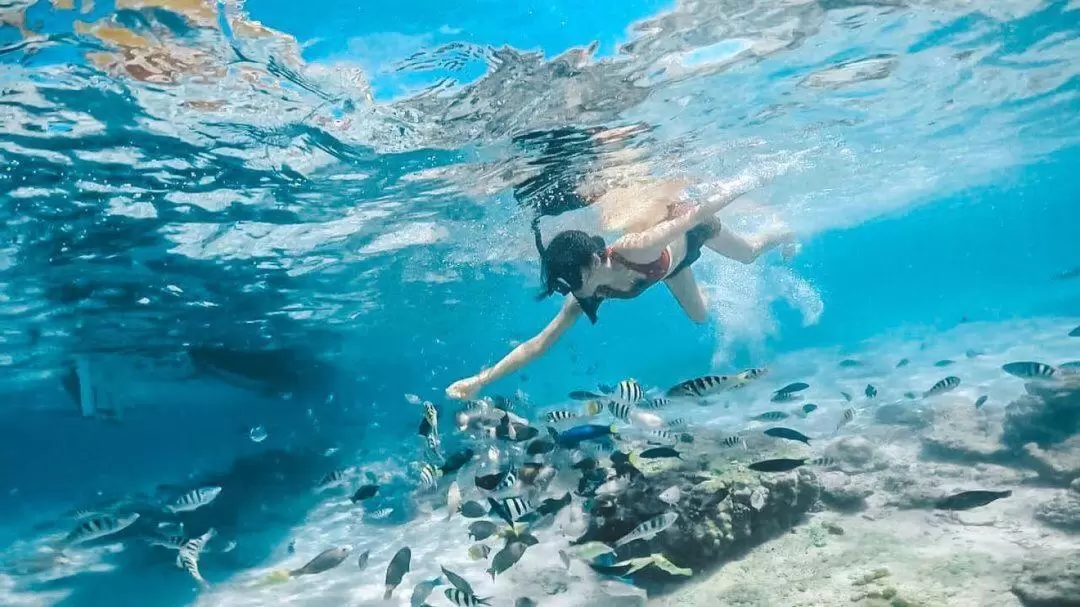 龍目島Gili Petelu＋Pink Beach浮潛之旅