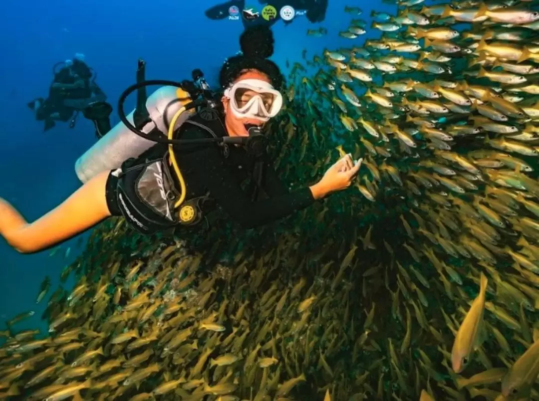 タオ島 スキューバダイビング体験（Nava Scuba Diving提供）