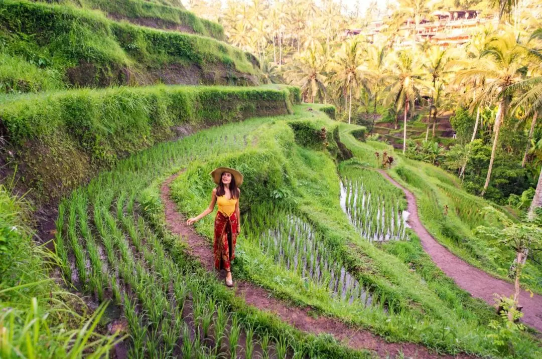 Ubud Highlights Private Day Tour