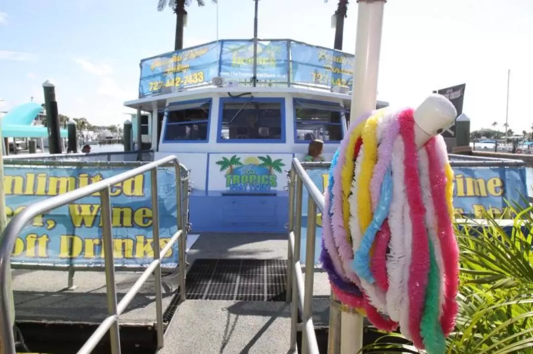 イルカウォッチング 日帰りボートツアー（オーランド発）