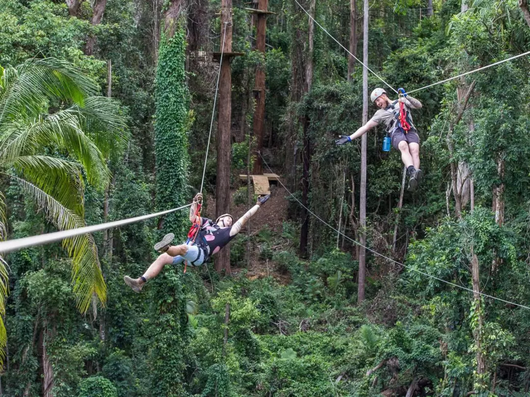 TreeTop Challenge Ticket in Sunshine Coast