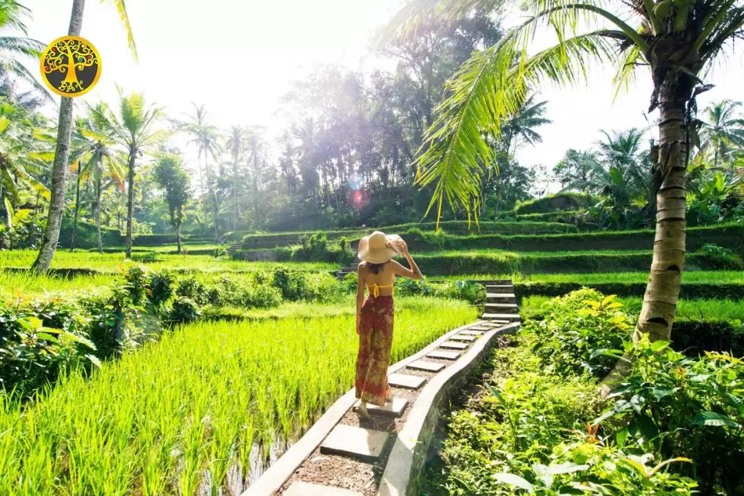 Bali Eat Pray Love Private Tour