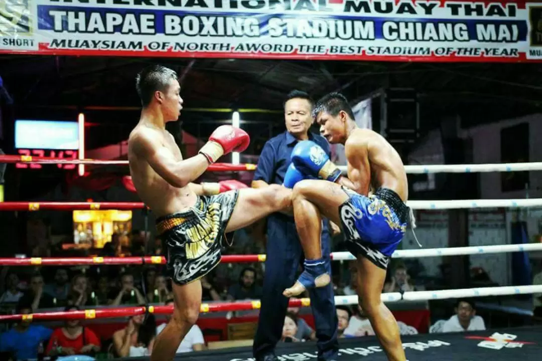 Chiang Mai Thapae Boxing Stadium Ticket