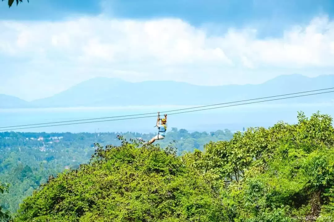 ジップライン体験（サムイ島 / Tree Bridge Zipline提供）