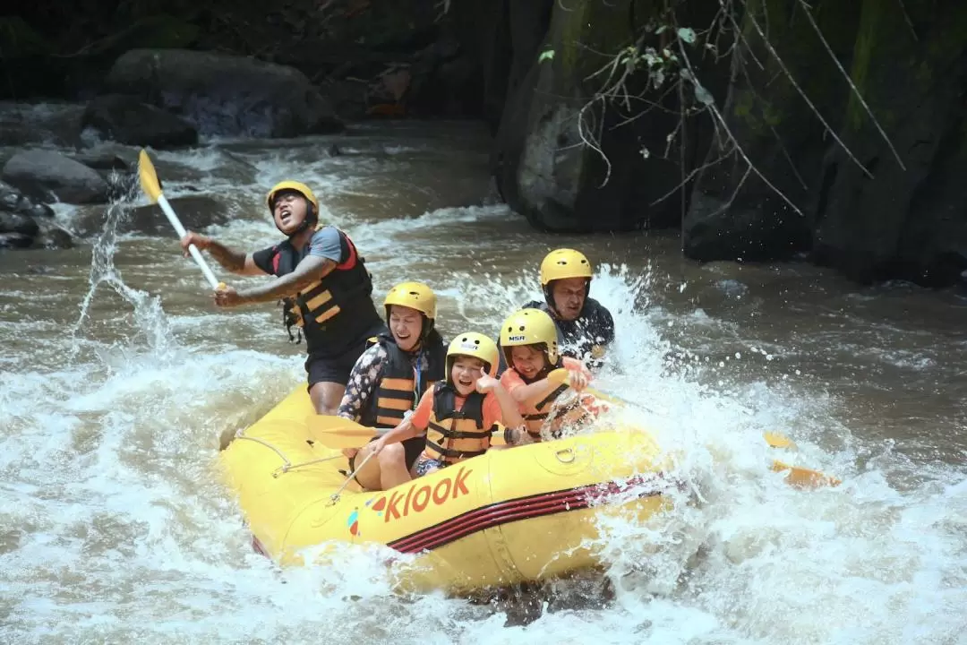 Ayung River Rafting in Bali with Activities and Sightseeing Tour