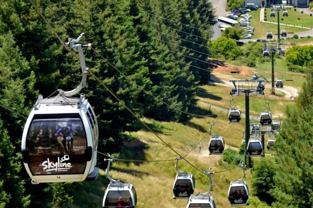 Skyline Gondola and Luge Ticket in Rotorua