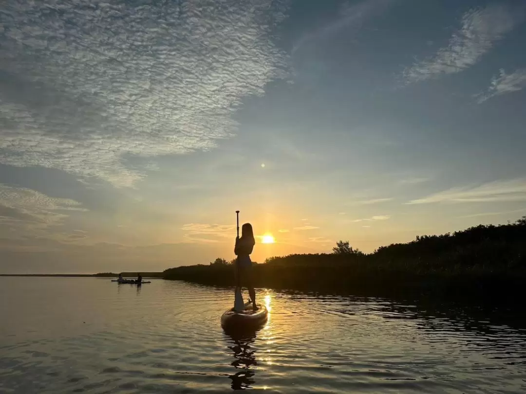 宜蘭五結: 蘭陽溪出海口SUP立槳體驗