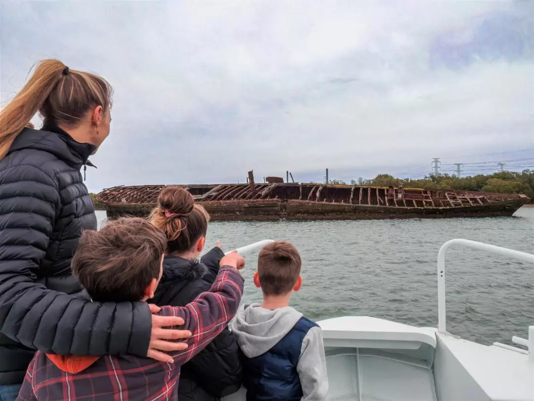 Port River Dolphin & Ships Graveyard Cruise from Port Adelaide