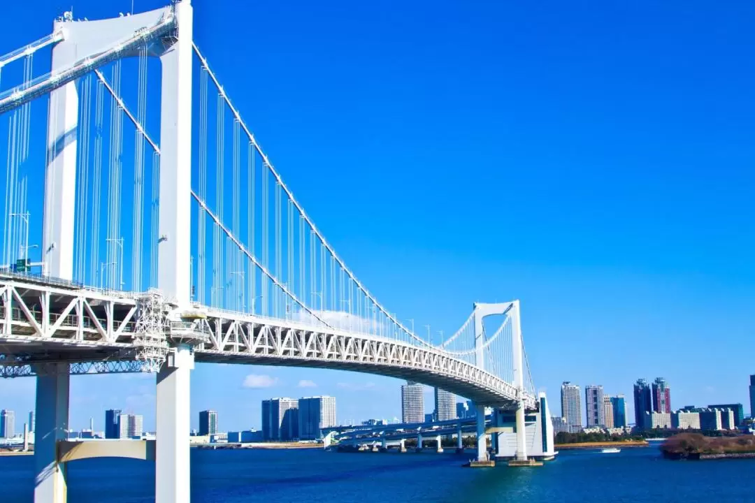 Tokyo City One Day Customized Private Car Tour with an Experienced Guide