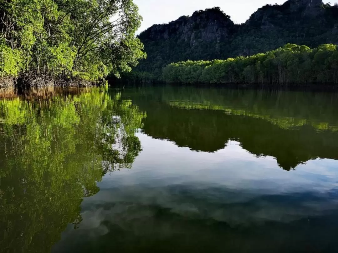 Sunset Mangrove Cruise Experience with Transfers and Meal in Langkawi