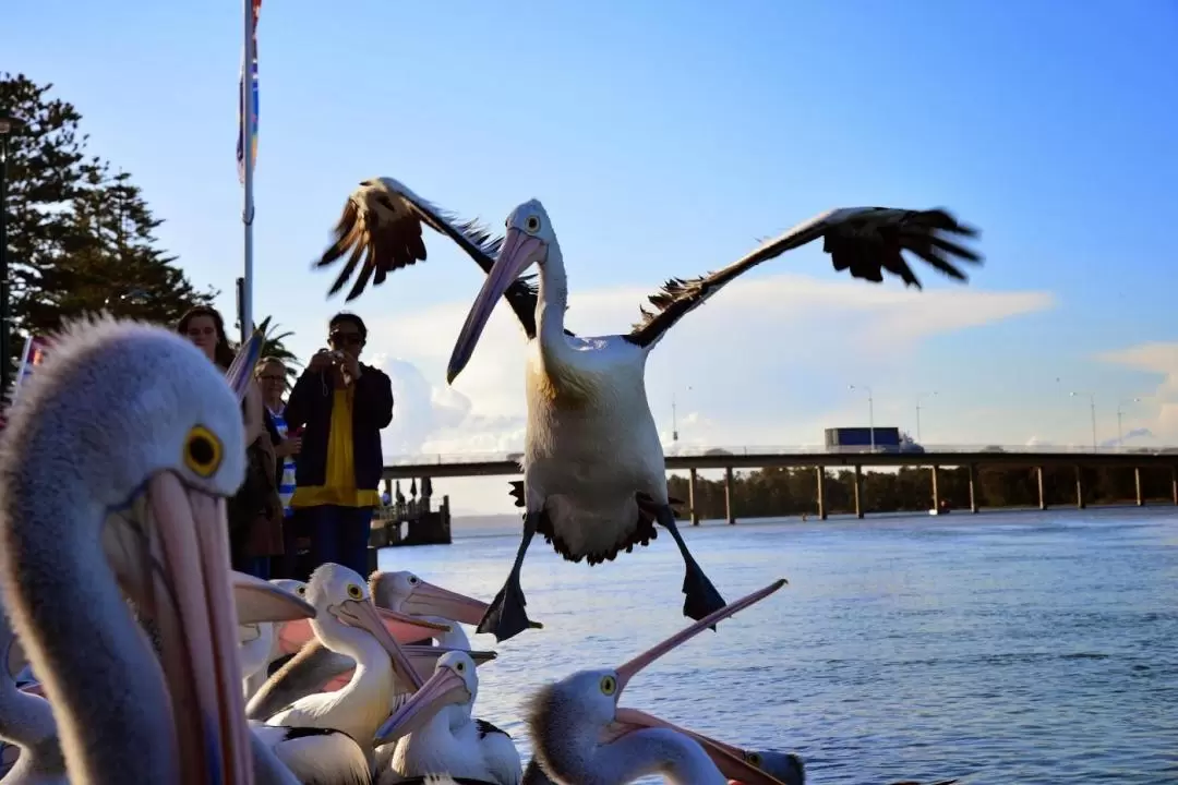 Hunter Valley Day Tour with Chinese Speaking Guide