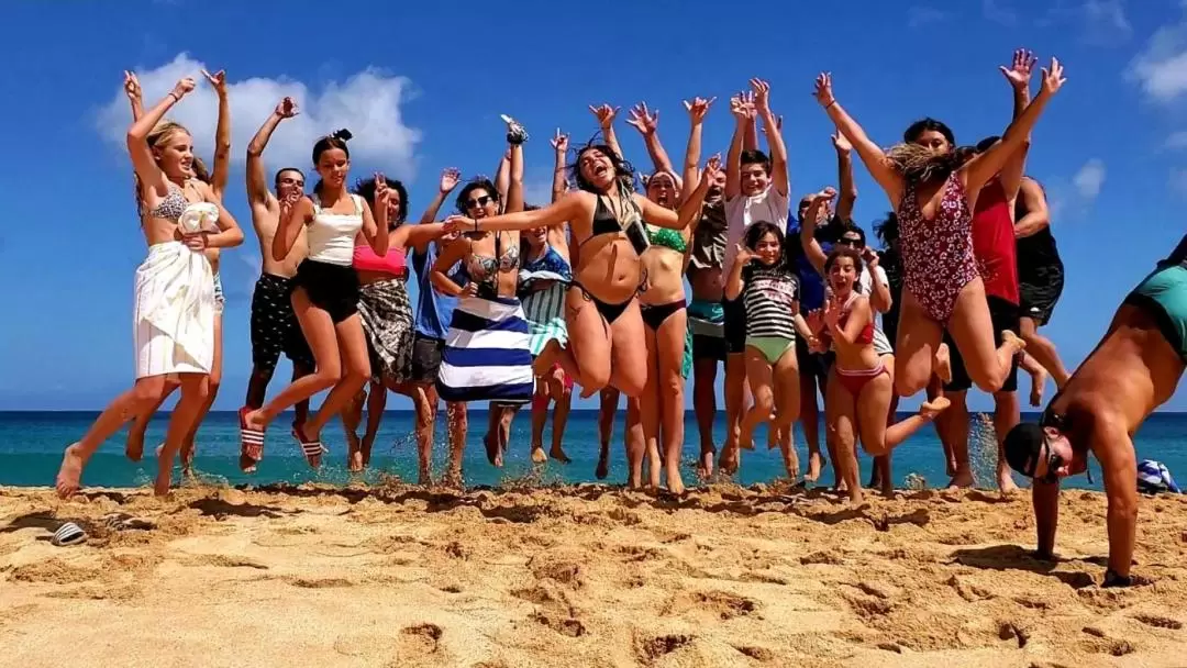 Oahu Grand Circle Group or Private Tour with Snorkeling and Dole Plantation Visit 