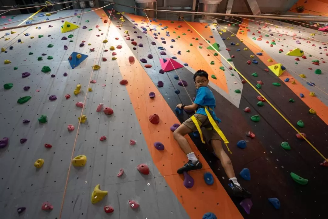 Indoor Rock Climbing Experience at Project Rock in Penang