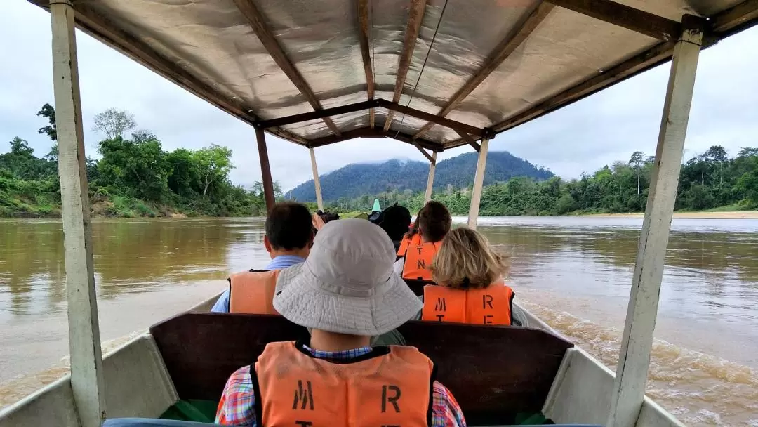 Taman Negara National Park Join-In Day Tour