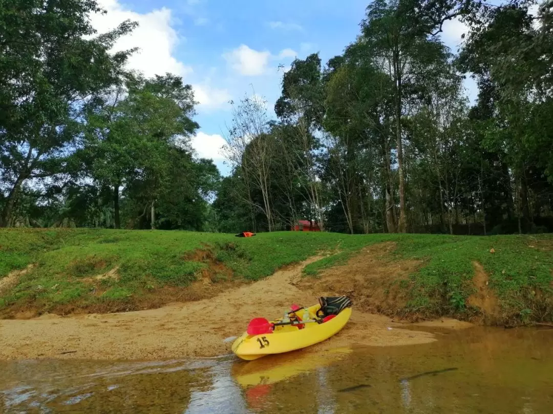 Little Amazon River Kayak Experience in Terengganu