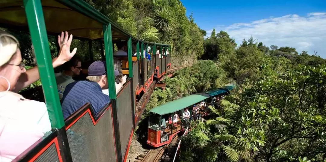 Coromandel Town Guided Day Tour from Auckland