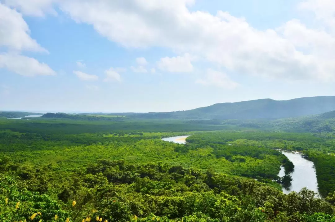 Okinawa Iriomote Island and Yubu Island Day Tour