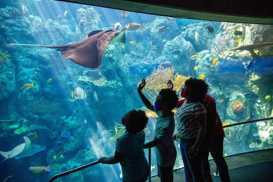 加州太平洋水族馆门票