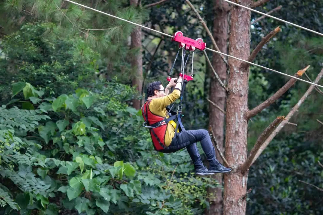 Zipline Experience at Datanla Da Lat