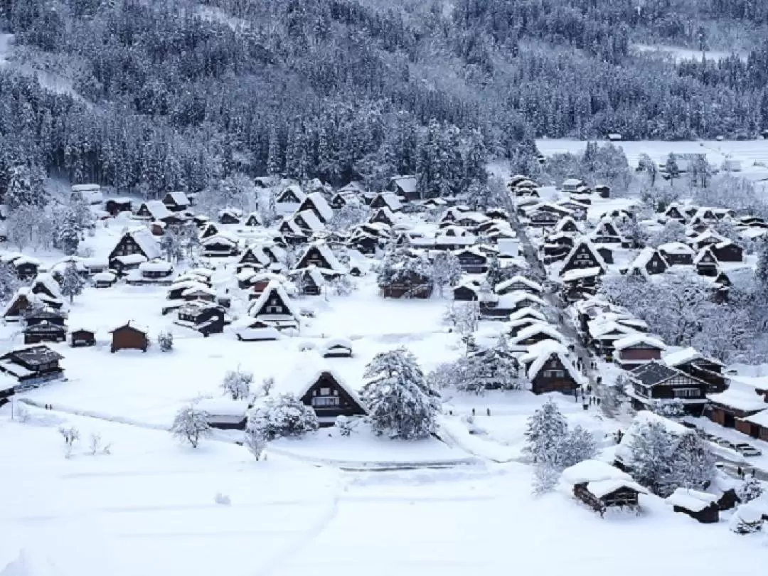 World Heritage Shirakawago and Takayama Private Tour from Nagoya