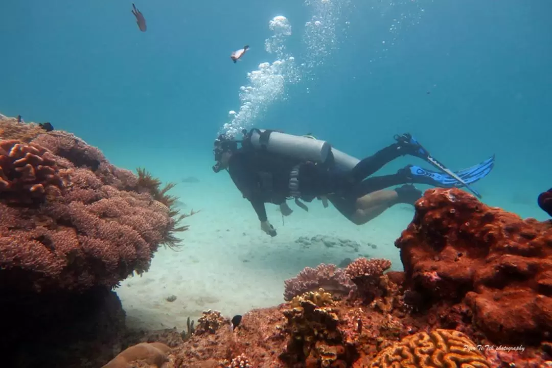 鹿島（Menjangan Island）潛水體驗（巴厘島Dune Atlantis提供）