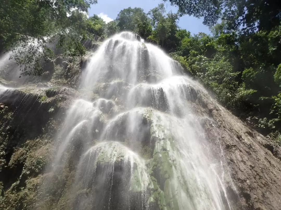 Private City Transfers between Oslob and Cebu City/Mactan