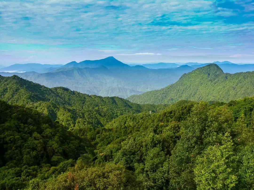 白馬國家公園（Bach Ma National Park）徒步一日遊