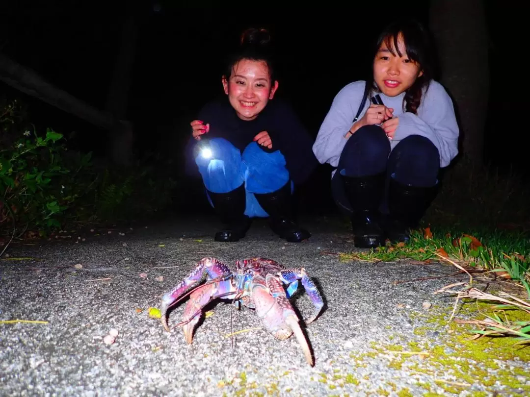 Star and Jungle Night Experience (Ishigaki&Iriomote island)