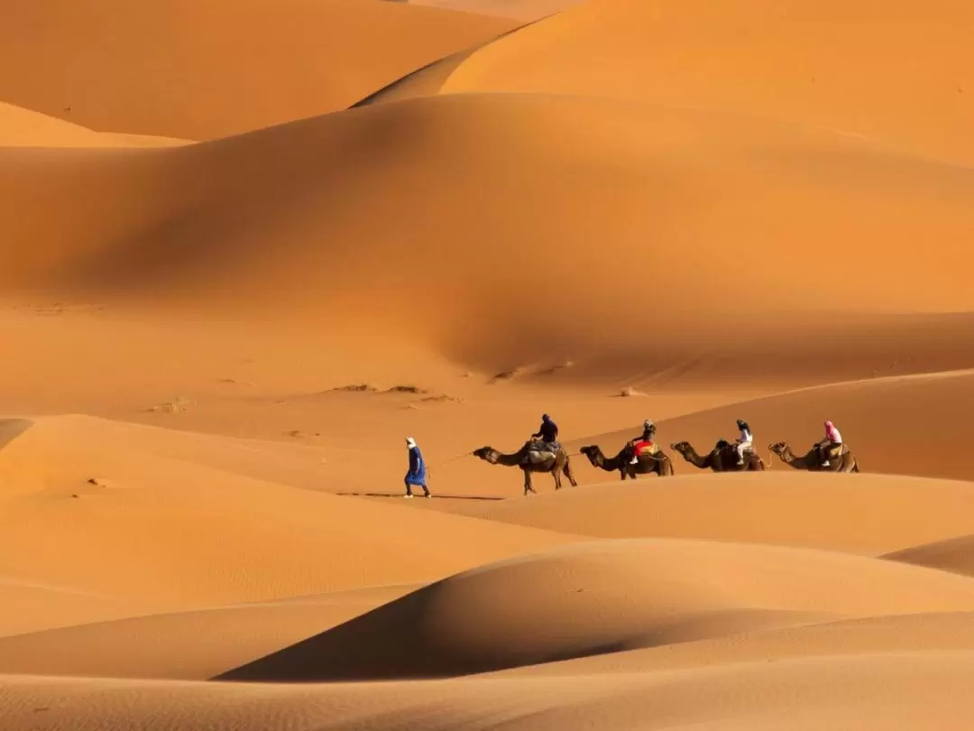 Dubai Sunset Camel Trekking Tour with BBQ Dinner