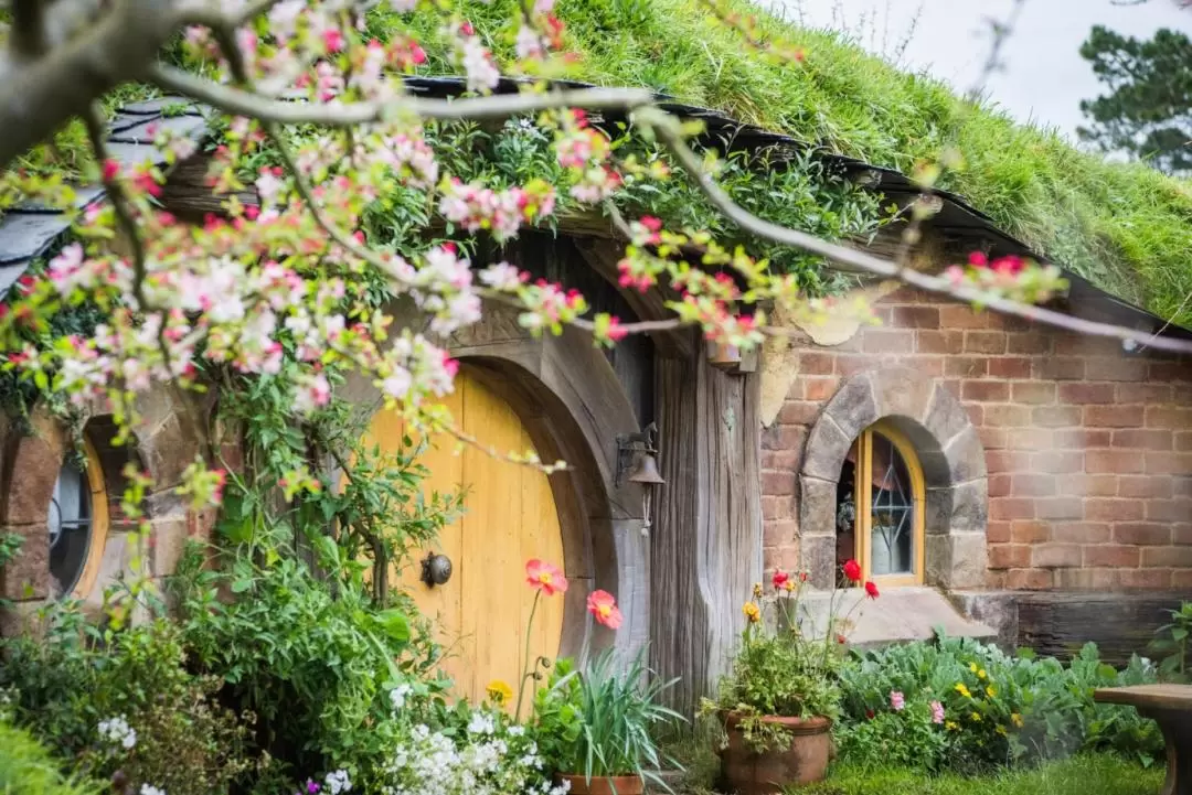 Hobbiton Movie Set Guided Tour 