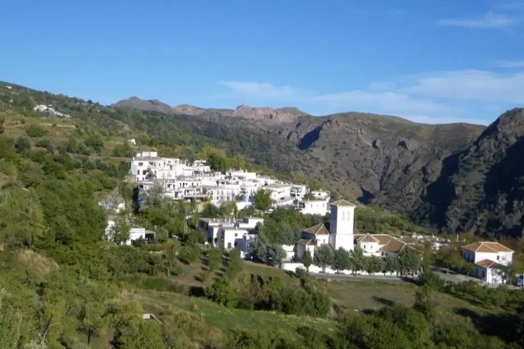 Alpujarra One Day Tour from Granada