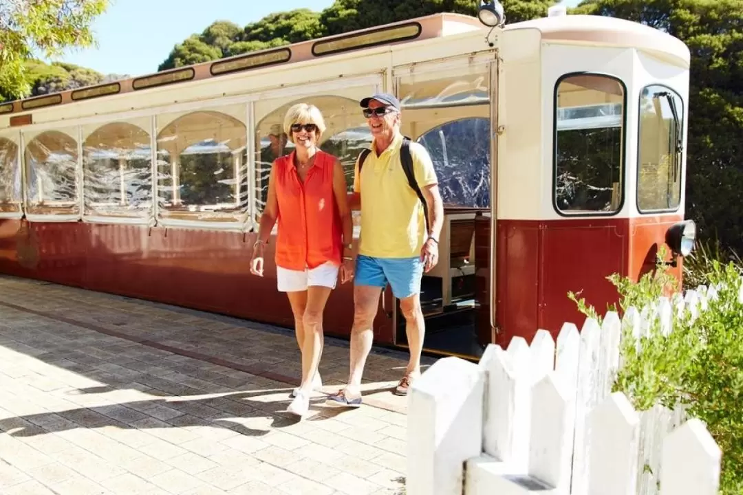  Oliver Hill Train and Tunnel 2 Hour Tour from Rottnest Island