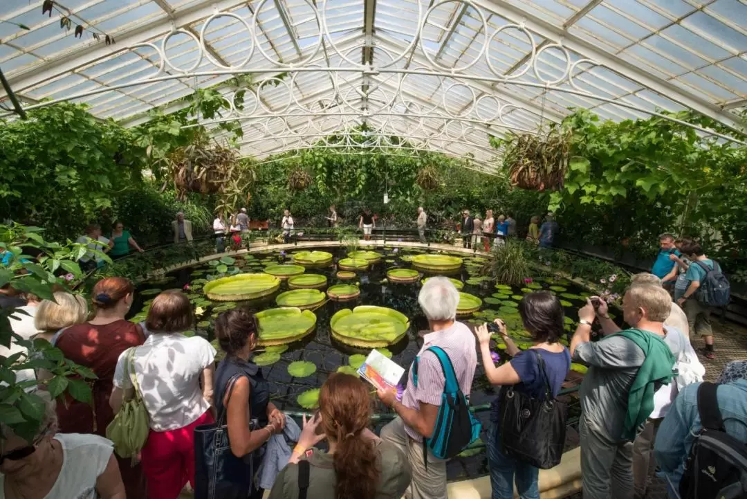 キューガーデンズ 王立植物園 入場チケット（ロンドン）