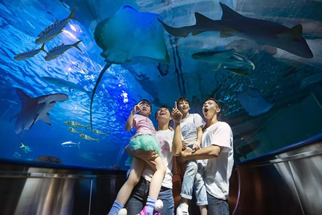 Farglory Oceanpark Sleepover Experience in Hualien