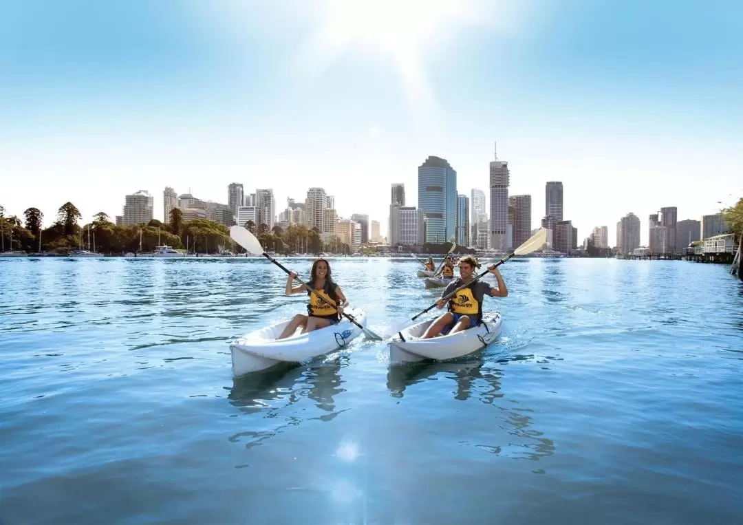 Guided Kayaking Day Tour in Brisbane