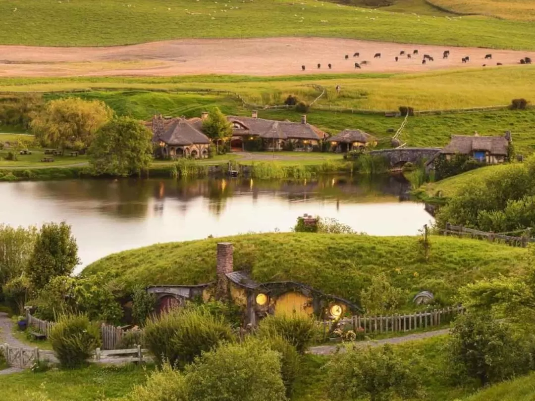 Hobbiton Express Small Group Tour Including Lunch from Auckland